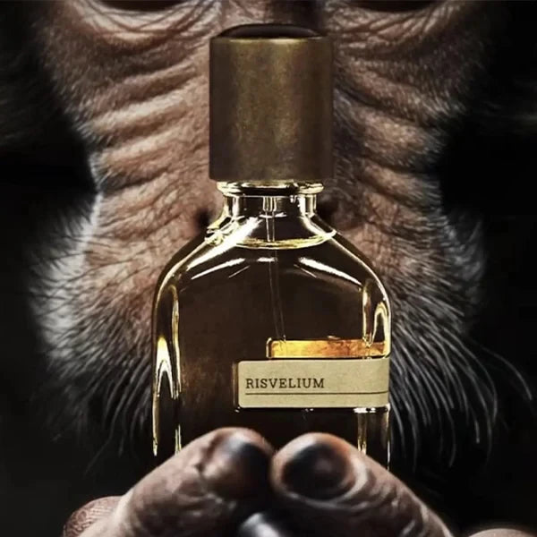 Intellectual Perfume High-Quality Fruit Orchid Romance Natural Scent Perfume for Men Longevity Fashion Man Cologne Fragrances